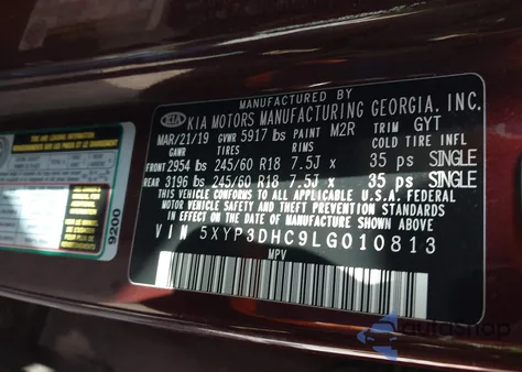 2020 Kia Telluride Ex from USA, damaged, VIN 5XYP3DHC9LG010813